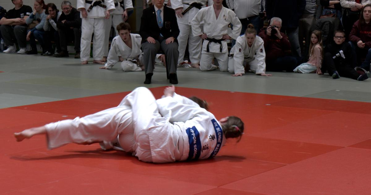 Ippon Soignies Judo Club: Team Tournament Highlights Experience & Family Passion