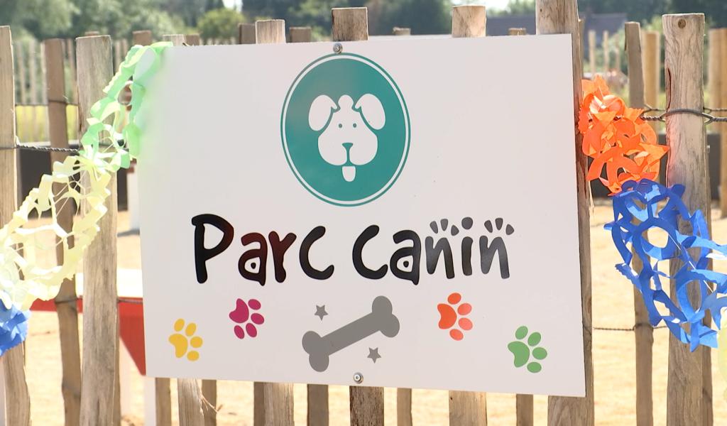 Ecaussinnes : le tout premier parc canin de la région