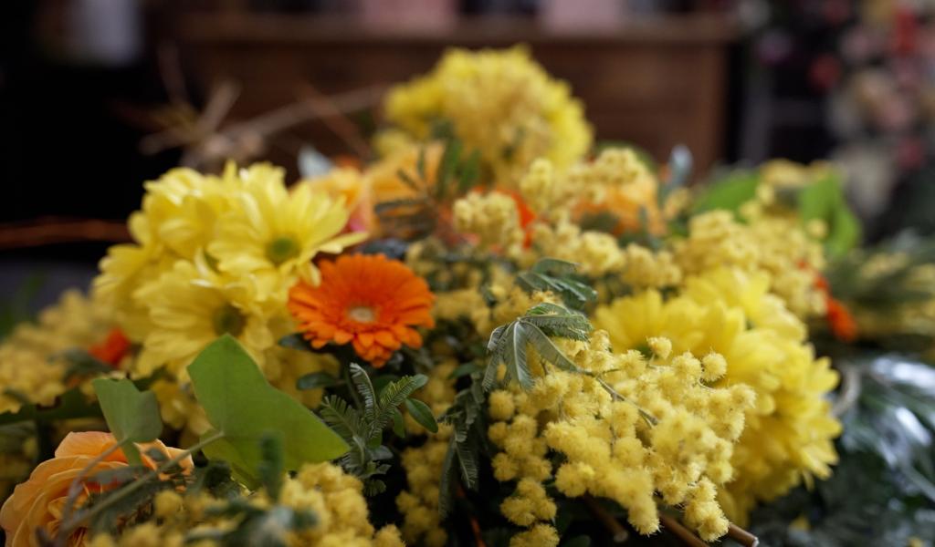 La Louvière : la décoration florale du Laetare