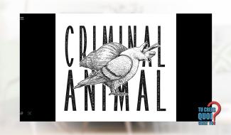 Rock : Criminal Animal a sorti les masques !