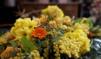La Louvière : la décoration florale du Laetare