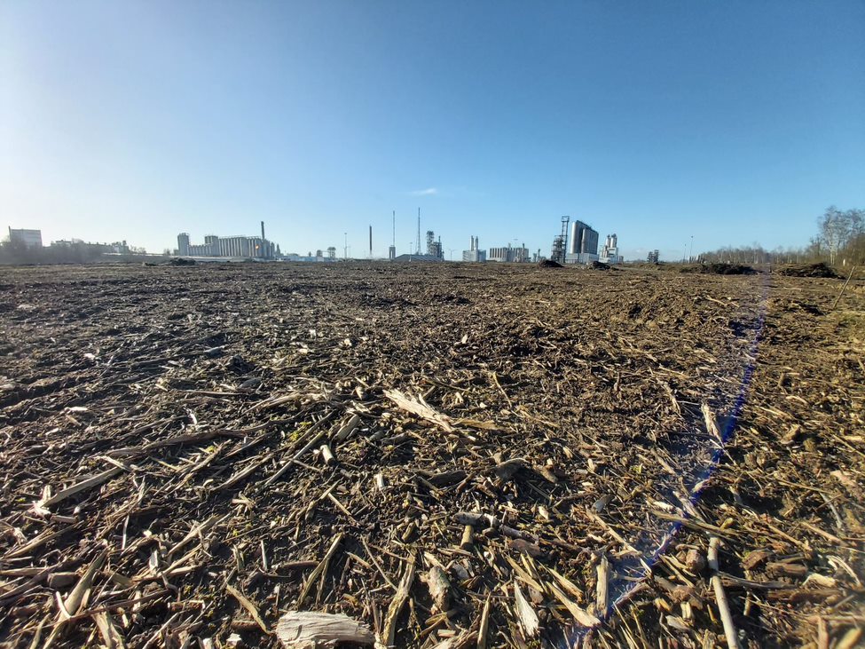 Ecaussinnes : 7 hectares déboisés par TotalEnergies 