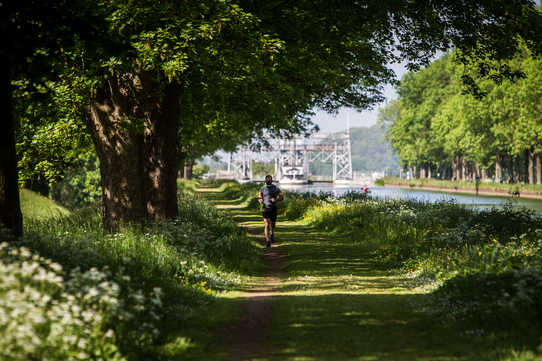 La Louvière : abattage de 48 arbres au Canal du Centre historique