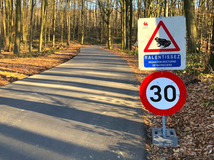 Braine-le-Comte : pose d’un barrage à batraciens