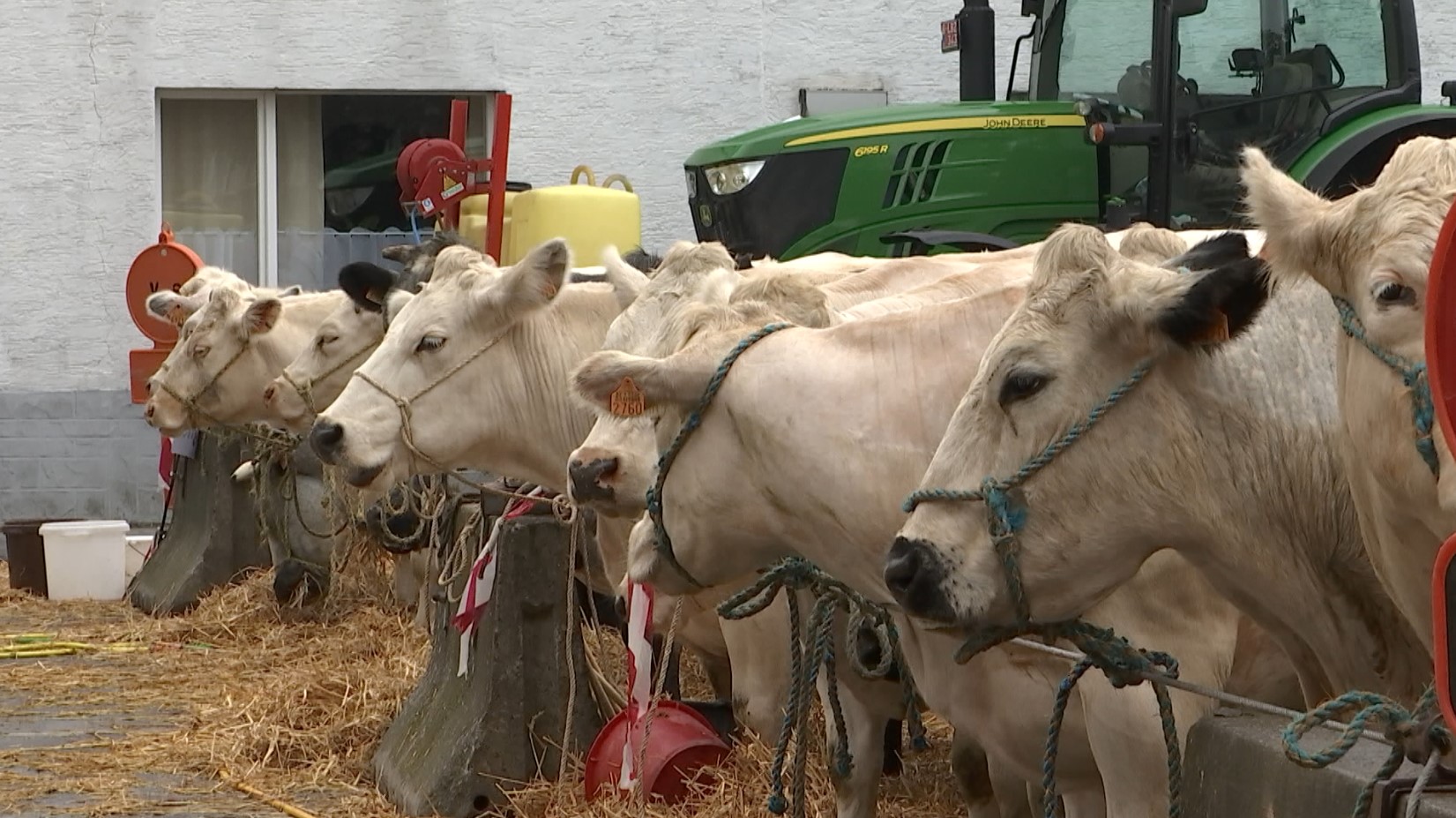 Soignies : la foire agricole est de retour