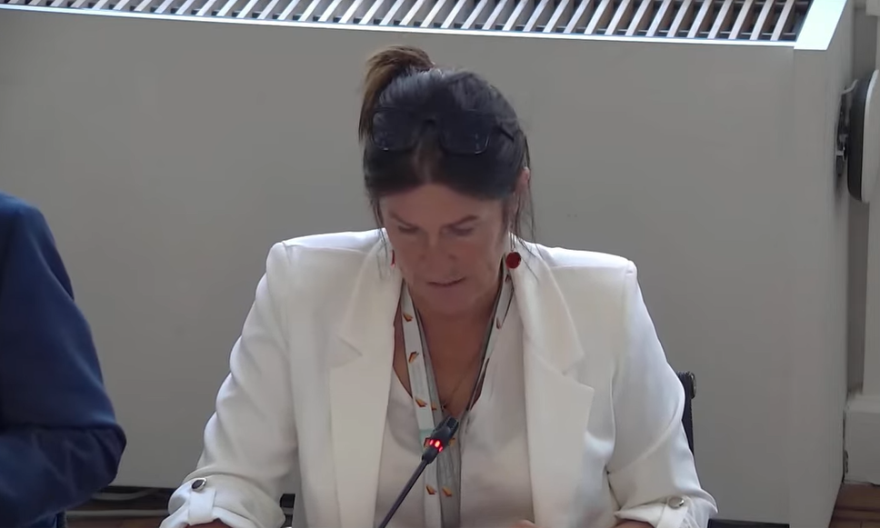 Réforme des médias de proximité : les députés du Centre s'inquiètent