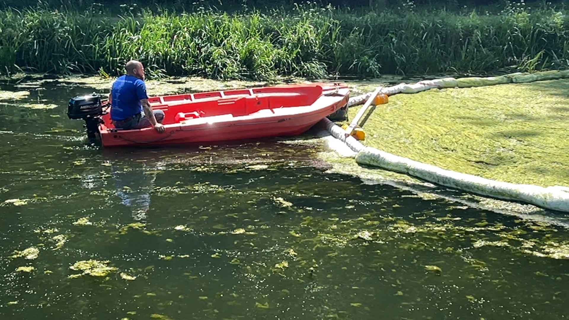Canal Historique du Centre: la chasse aux algues