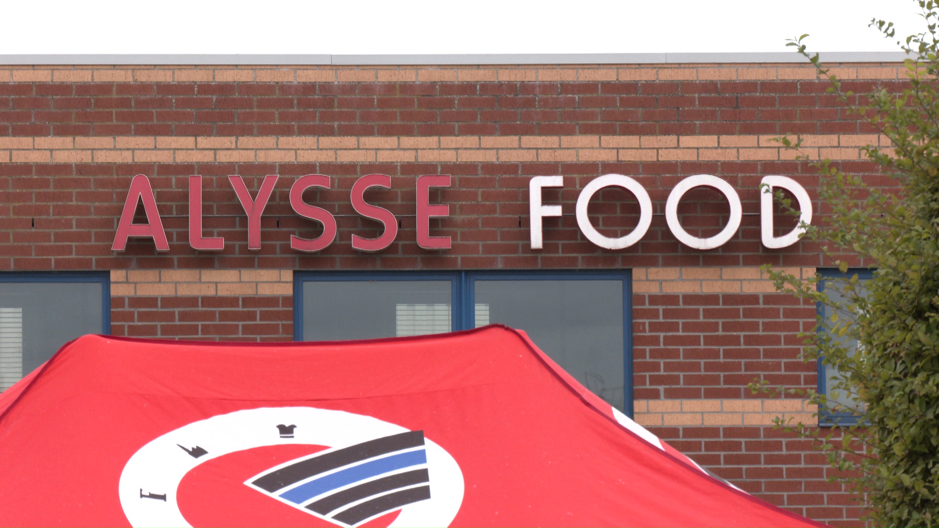 Alysse Food : vers une procédure d'insolvabilité