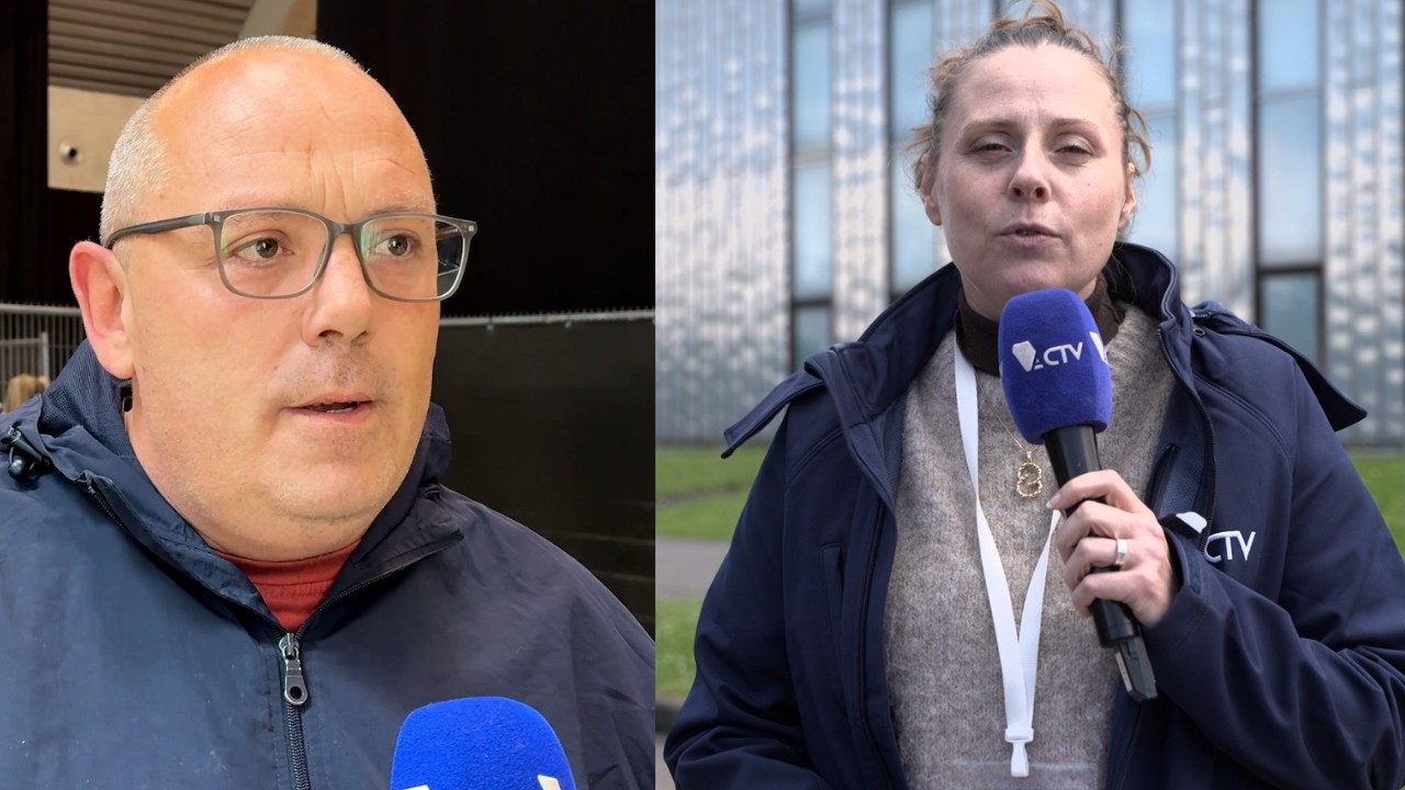Procès Falzone : les répliques des parties civiles