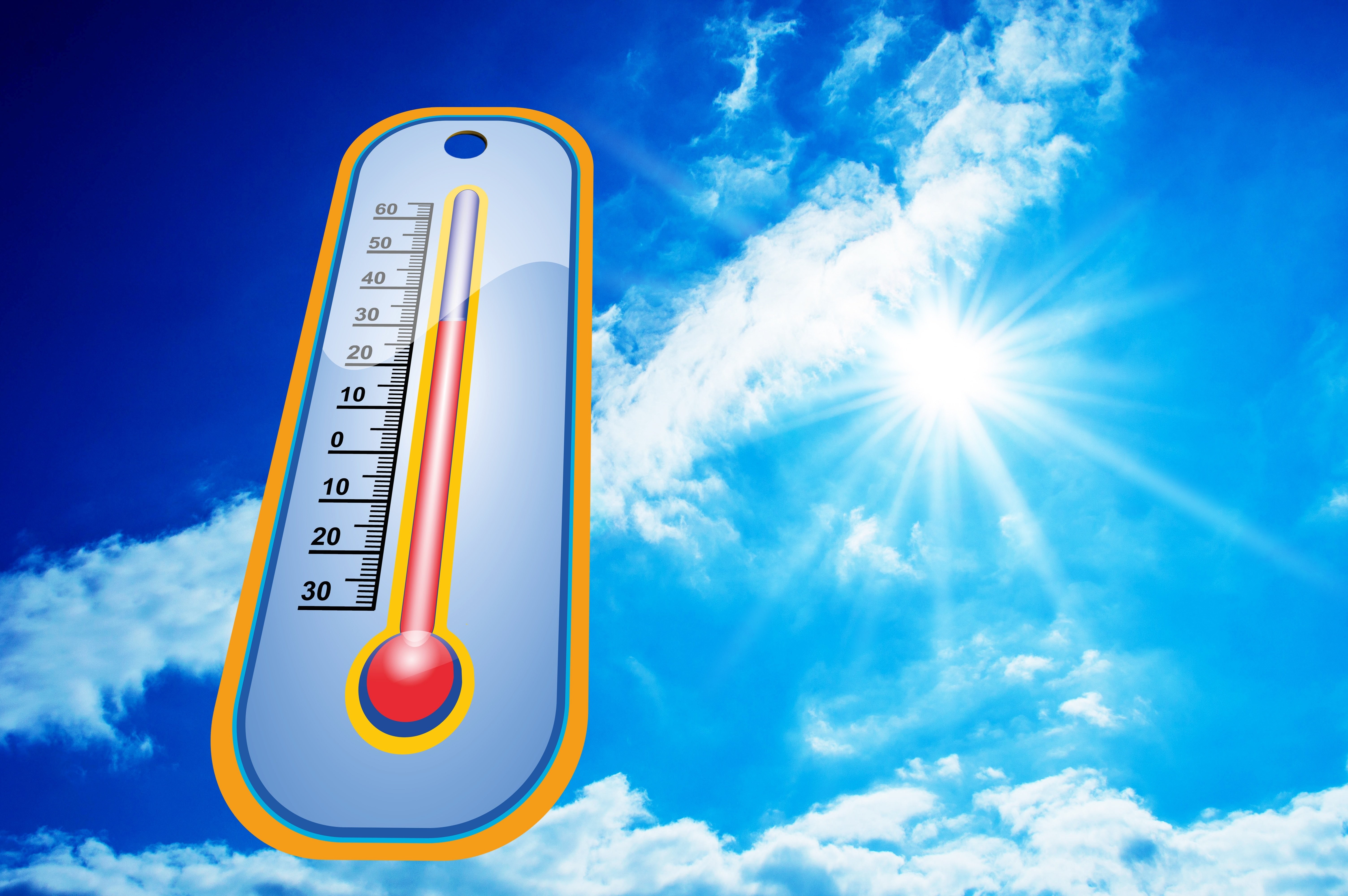 Vague de chaleur : quelques conseils pour mieux supporter la canicule