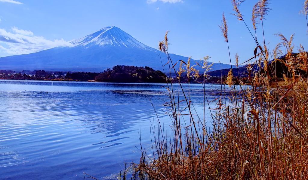 Binche : un voyage photographique à travers le Japon