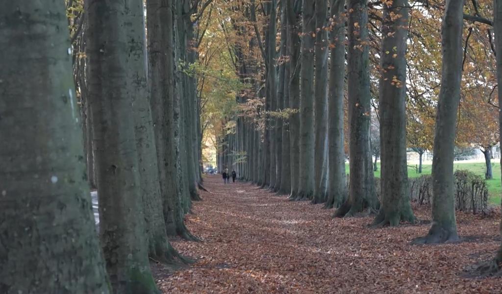 C'EST ICI QUE CA SE PASSE - 24/11/2025