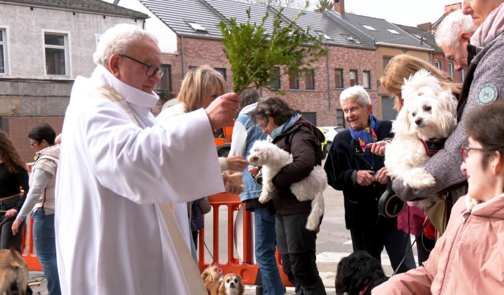 Ecaussinnes : Une première bénédiction des animaux de compagnie