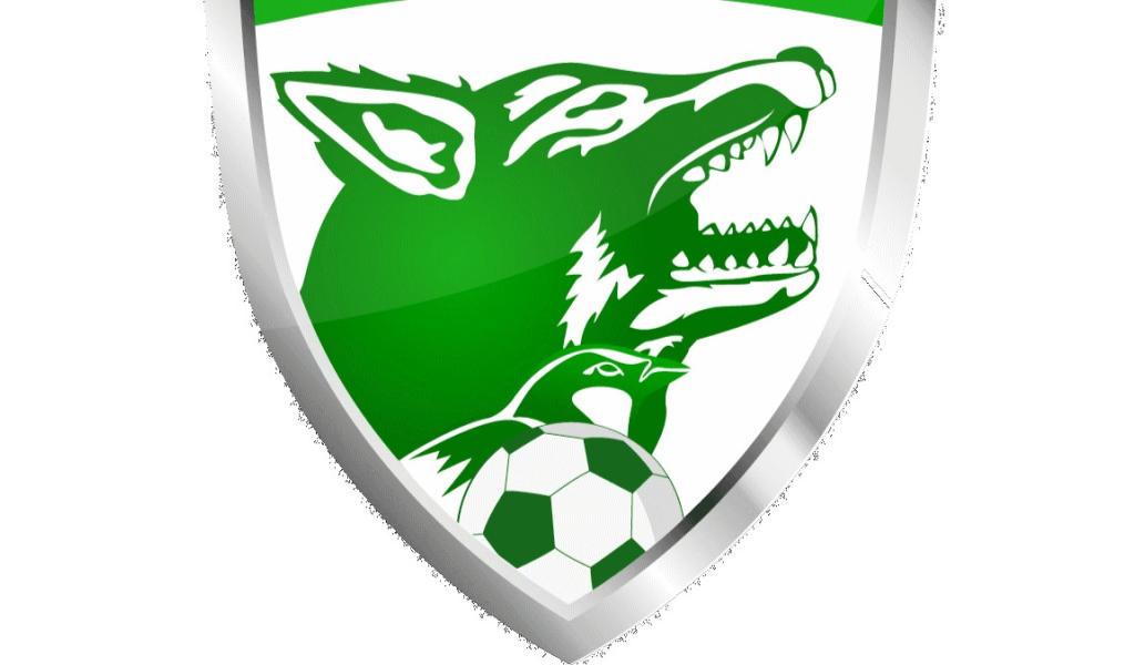 La Louvière Centre lourdement sanctionnée par l'ACFF