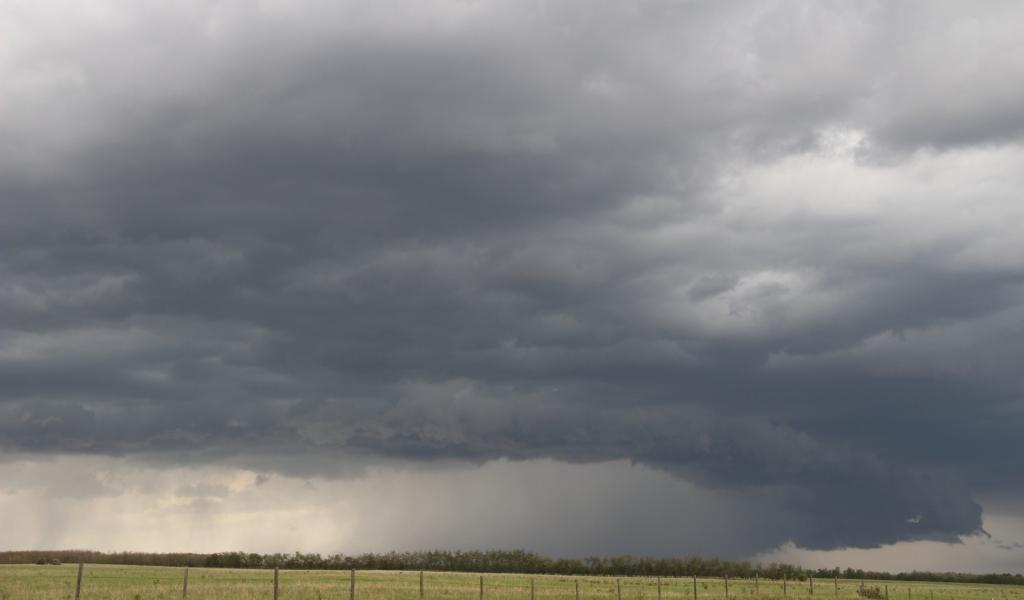 Tempête Goretti : les pompiers essentiellement appelés pour du tronçonnage
