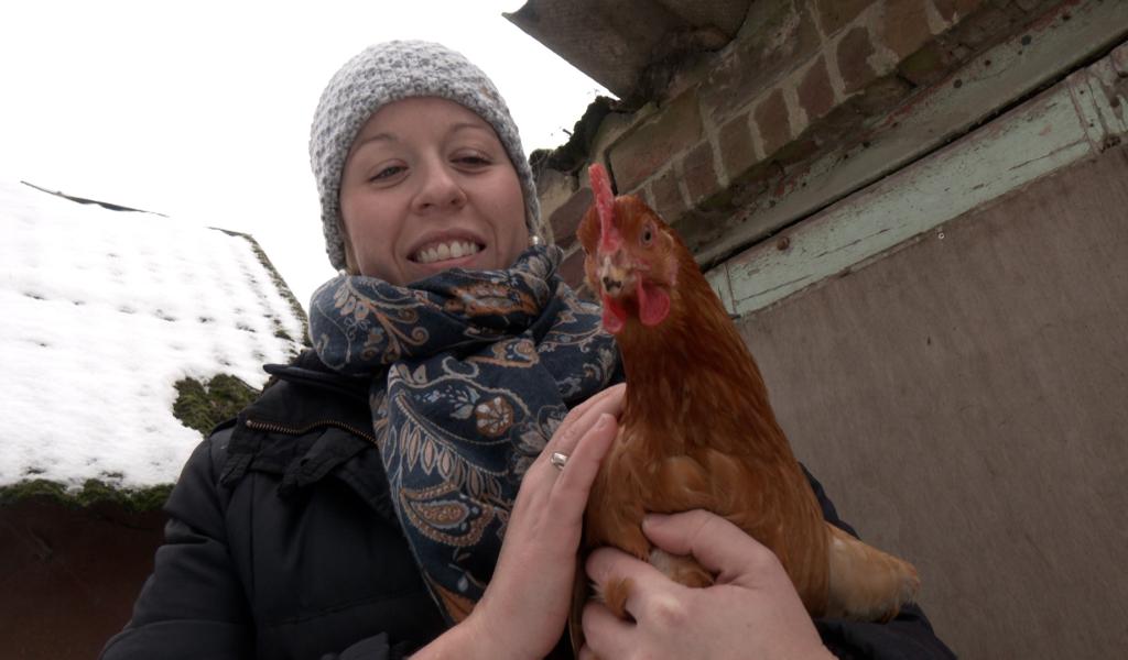 Le Roeulx : vol d'oeufs en libre service