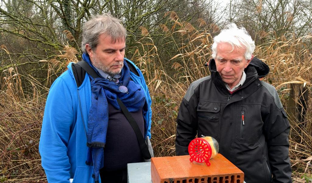 La Louvière mobilise ses citoyens contre les frelons asiatiques