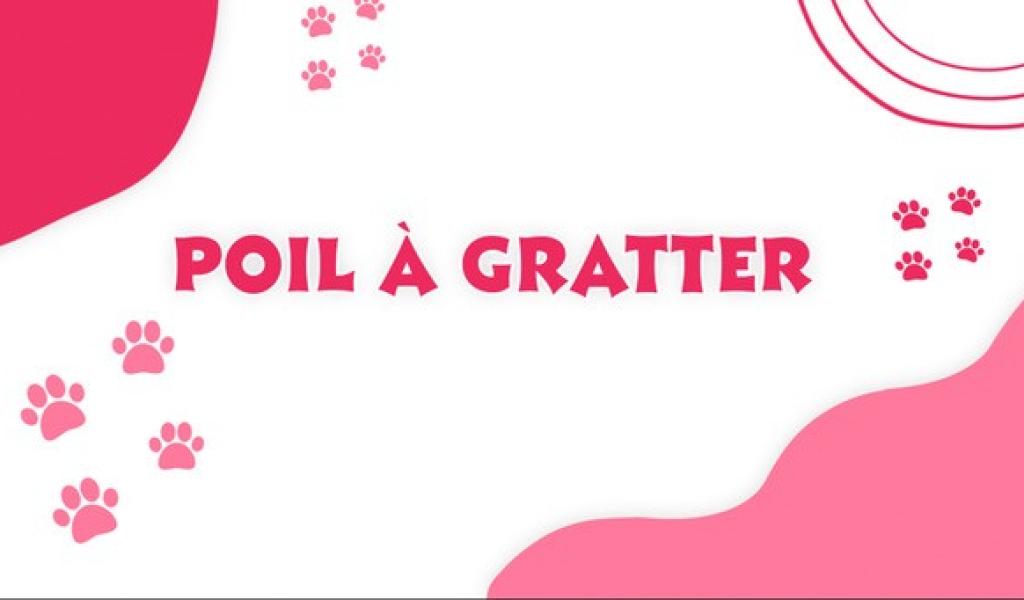 POIL A GRATTER : votre animal a disparu