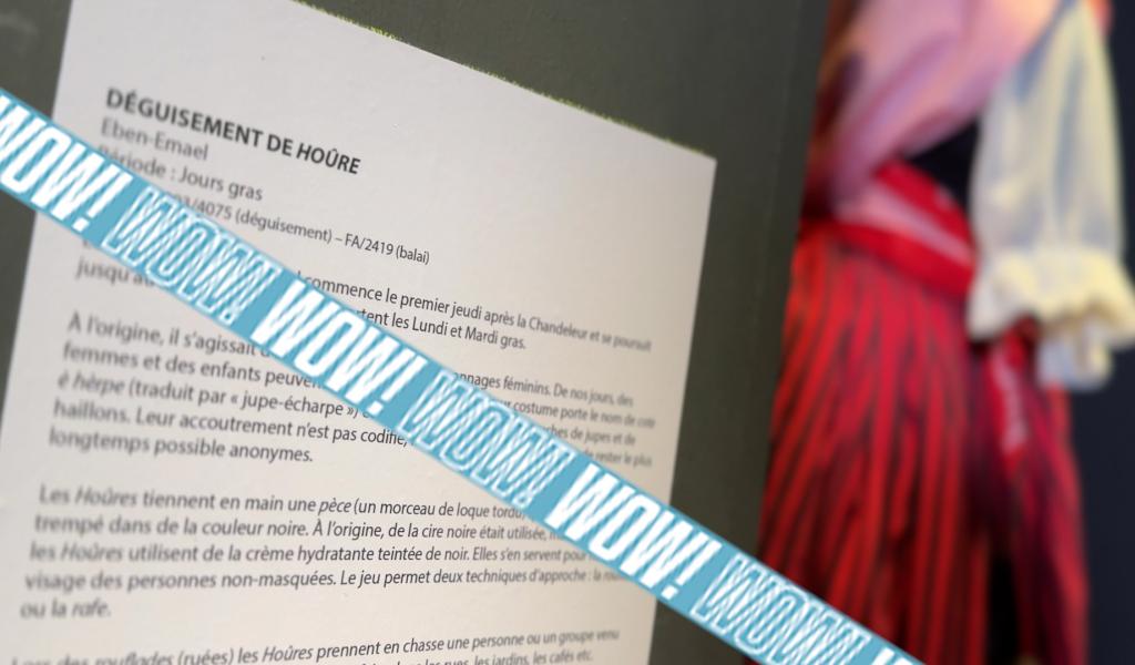 WOW. L'habit des Hoûres.