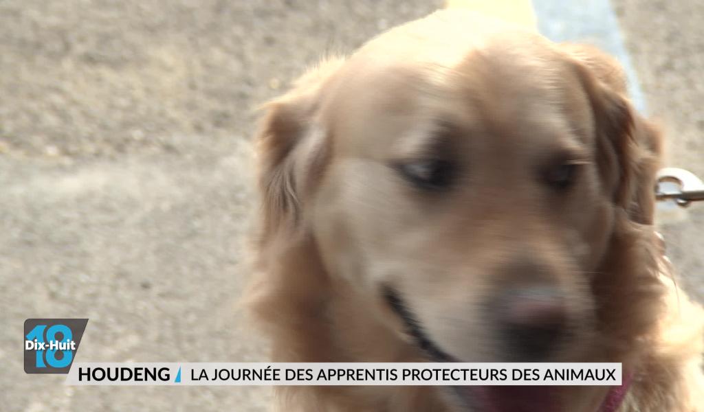 La journée des apprentis protecteurs des animaux