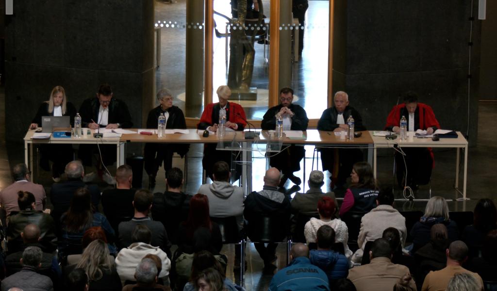 Procès Falzone : les attentes des parties civiles et de la défense