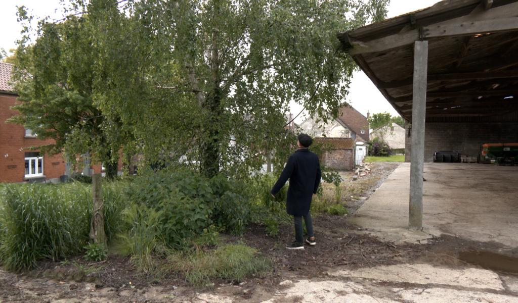 Écaussinnes: quelle est cette tradition de l'arbre de mai au Goûter Matrimonial ?