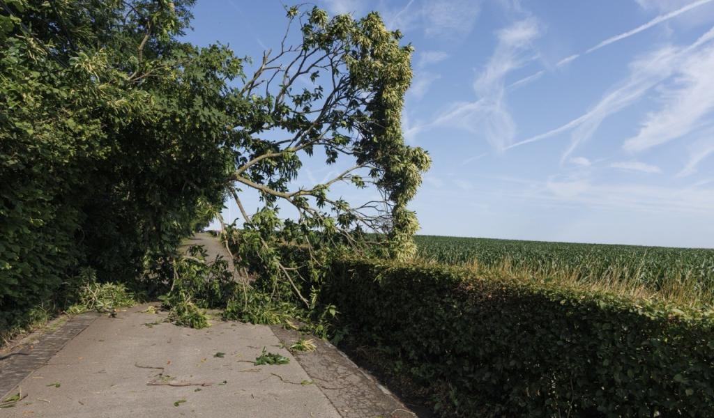 Violents orages dans la région du Centre : nombreuses interventions, mais aucun blessé