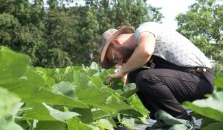 Waudrez : l'envol de la Ferme du Phénix