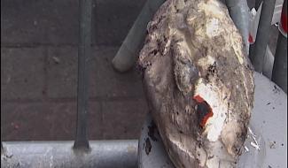 Binche: 450 masques détruits dans l incendie de l atelier Pourbaix