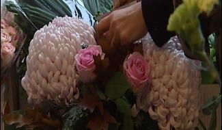 Toussaint : les fleurs de novembre  