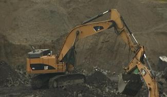 Au Coeur du Hainaut : la faune et la flore des carrières