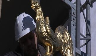 Neufvilles : le coq, le retour