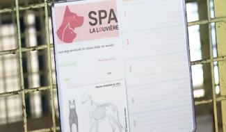 La Louvière: tensions entre la Ville et la SPA