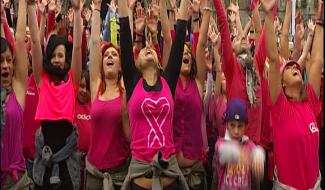 Une aide pour la recherche contre le cancer