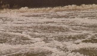 Coeur de Hainaut : coule l'eau claire