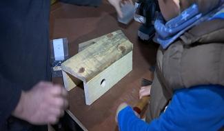 Ronquière : construire des nichoirs
