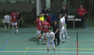 Une animation autour des amphibiens à Braine le Comte