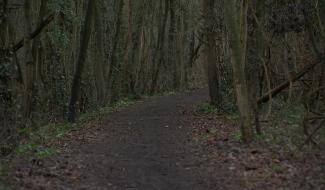 Ecaussinnes : Pré-ravel, le point sur la ligne 106