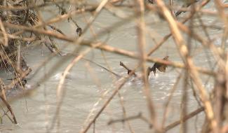 Centre : journées de l'eau