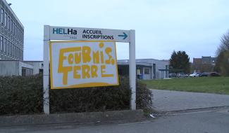  Braine-le-Comte : des fourmis pour la terre