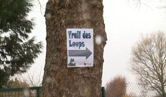 Saint-Vaast: lancement du Trail des Loups 