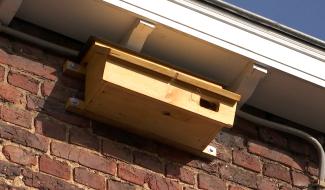 Braine-le-Comte: pose de nichoirs par Natagora