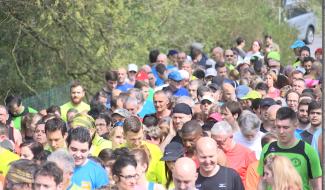 Jogging : 560 participants au 3ème semi-marathon d'Estinnes
