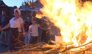 Bois d'Haine : 602ème Caudia