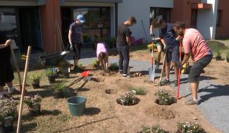 Les jobistes d'Eté solidaire en action dans les quartiers louviérois