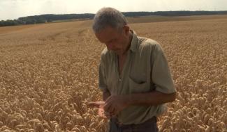 Sécheresse :  une situation préoccupante pour les agriculteurs