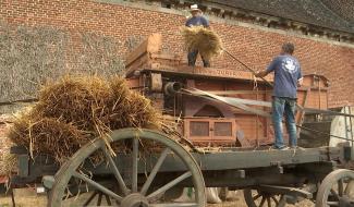 Vellereille-les-Brayeux: 25ème fête de la moisson