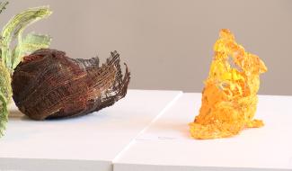 Binche : la dentelle est aussi contemporaine