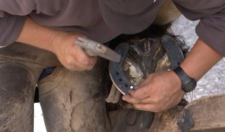 Vellereille-les-Brayeux : des métiers millénaires