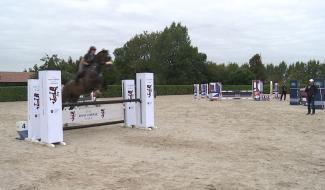 Equitation : Masterclass aux Ecuries d Ecaussinnes